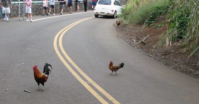 Descubre el Misterio de Chicken Road En el Casino Más Emocionante de España Descubre el Misterio de Chicken Road En el Casino Más Emocionante de España
